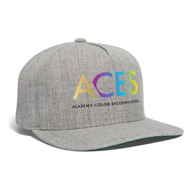 Academy Color Encoding System (ACES)
