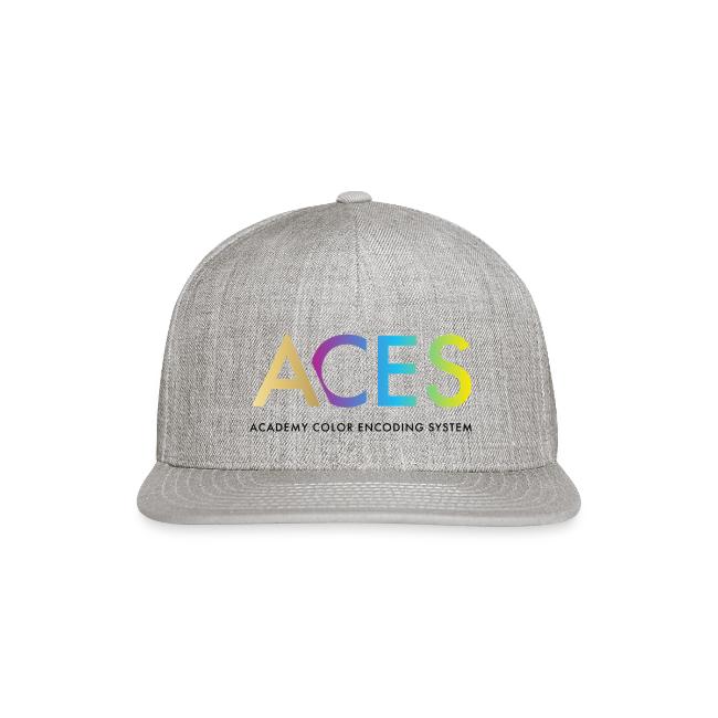 Academy Color Encoding System (ACES)