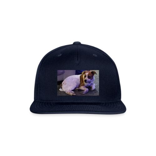 A Dog's Life - Snapback Baseball Cap