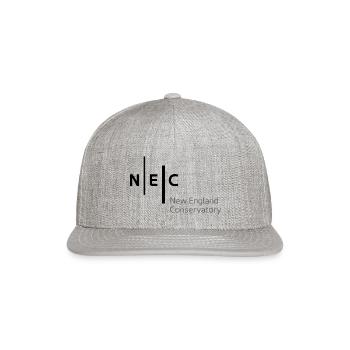 School Music Community - Snapback Baseball Cap - heather gray - Front