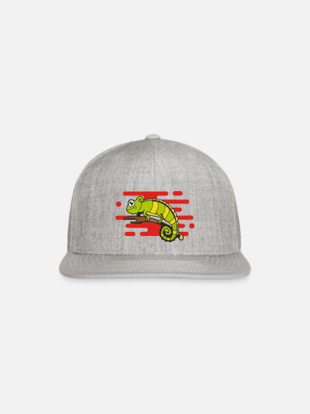 Chameleon - Snapback Baseball Cap - heather gray