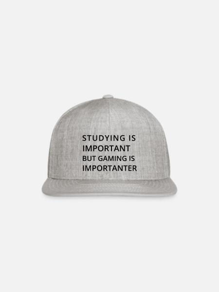 Studying Is Important But Gaming Is Importanter - Snapback Baseball Cap - heather gray