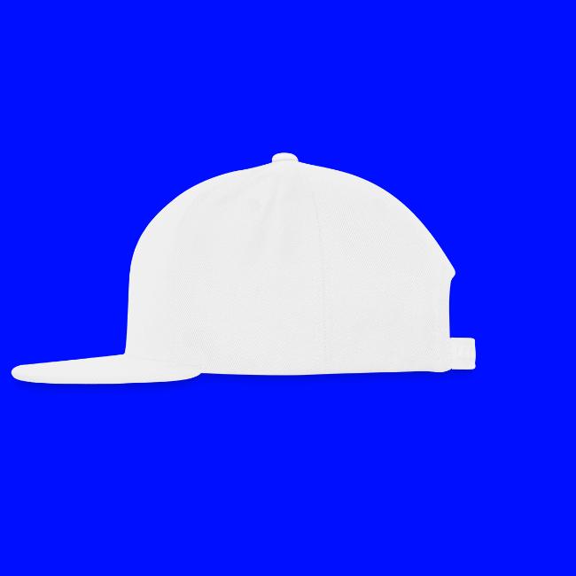 CWRU MSA Program Alum