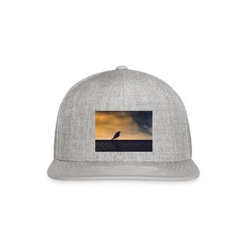 Raven singing - Snapback Baseball Cap - heather gray - Front