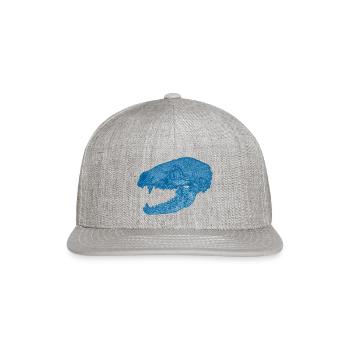 19 - Snapback Baseball Cap - heather gray - Front