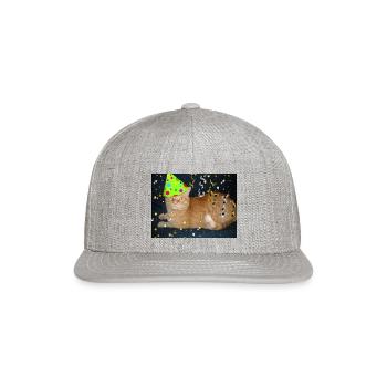 Birthday Party Orange Tabby Cat - Snapback Baseball Cap - heather gray - Front