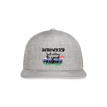 Introverted But Willing To Speak Mandingo - Snapback Baseball Cap - heather gray - Front