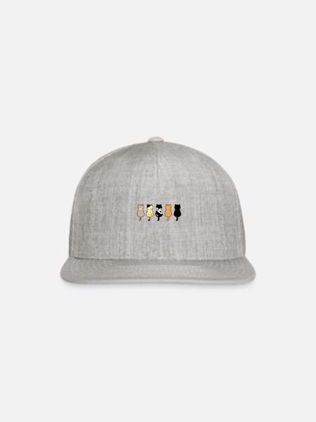 Funny Orange Cats/ Orange Cats are the best - Snapback Baseball Cap - heather gray