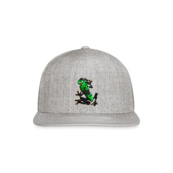 Kawasaki Motorcycles T ShirtKawasaki ZX6R Frog - Snapback Baseball Cap - heather gray - Front