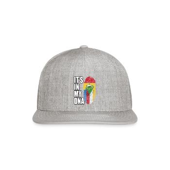 Ghanaian And Comoran Mix Heritage DNA Flag - Snapback Baseball Cap - heather gray - Front