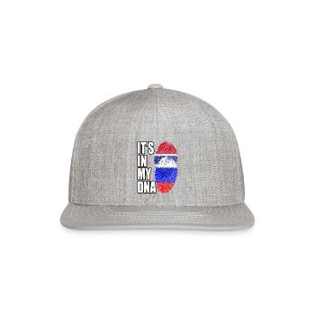 Gambian And Russian Mix Heritage DNA Flag - Snapback Baseball Cap - heather gray - Front