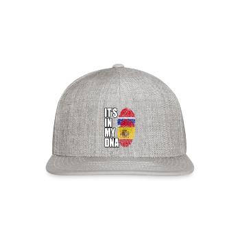 Gambian And Spaniard Mix Heritage DNA Flag - Snapback Baseball Cap - heather gray - Front