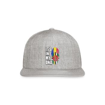 Dominican And Andorran Mix Heritage DNA Flag - Snapback Baseball Cap - heather gray - Front