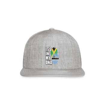 Botswana And Jamaican Mix Heritage DNA Flag - Snapback Baseball Cap - heather gray - Front