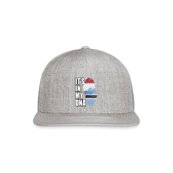 Botswana And Dutch Mix Heritage DNA Flag - Snapback Baseball Cap - heather gray - Front