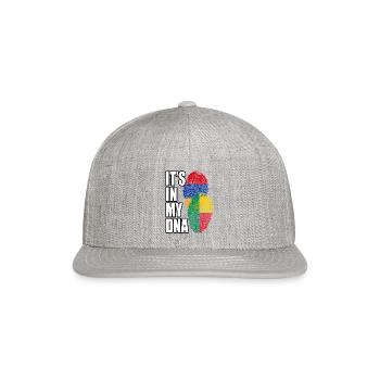 Beninese And Armenian Mix Heritage DNA Flag - Snapback Baseball Cap - heather gray - Front