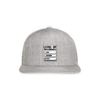 Level Of Awesomeness Aila - Level Of Aila - Snapback Baseball Cap - heather gray - Front