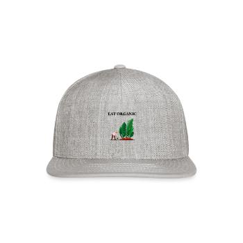 Organic Plant - Snapback Baseball Cap - heather gray - Front