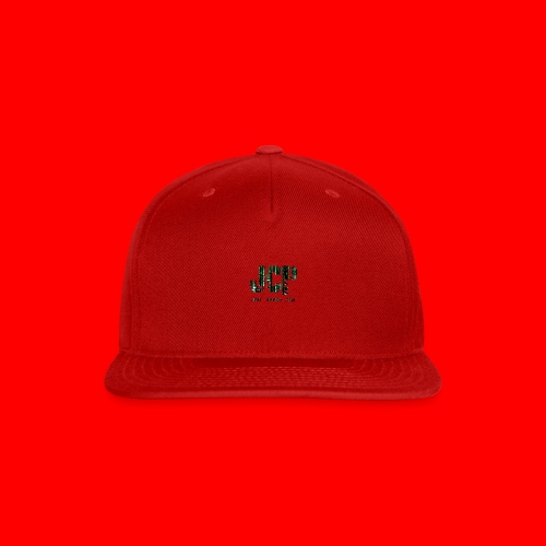2019 Merchandise - Snapback Baseball Cap