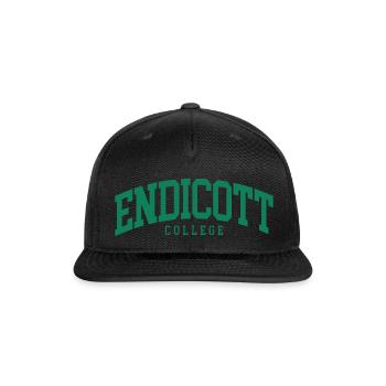 Endicott College Font Curved - Snapback Baseball Cap - black - Front