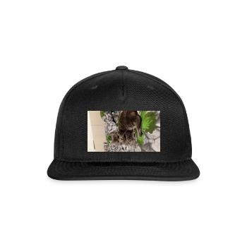 Cozy Cat on Verdant Blanket - Snapback Baseball Cap - black - Front