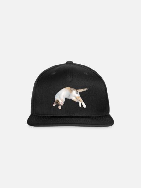 Sleeping Calico Cat - Snapback Baseball Cap - black