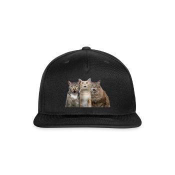 Surprised cats - Snapback Baseball Cap - black - Front