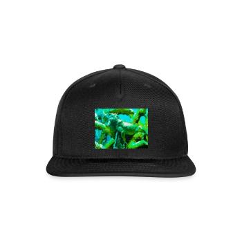 Iguana in Layman's Science 4:3 - Snapback Baseball Cap - black - Front
