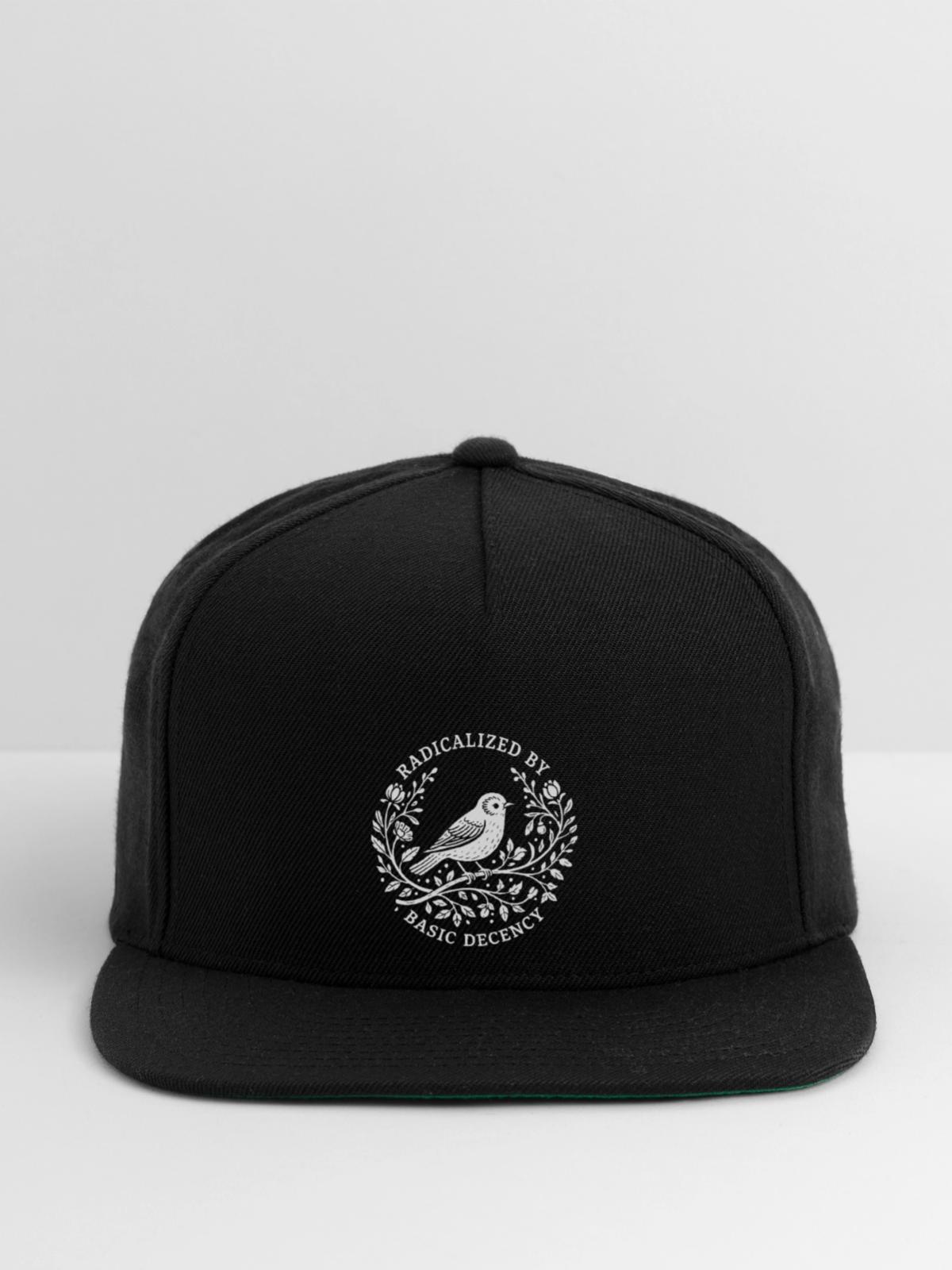 Radicalized by Basic Decency - Snapback Baseball Cap - black - Front