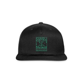 Flash icon - Snapback Baseball Cap - black - Front