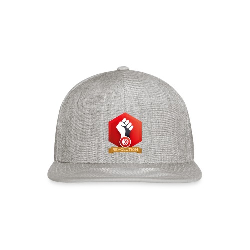Hive Revolution Banner - Snapback Baseball Cap