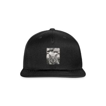 Orange Cat Tabby Cat UFO Alien Extraterrestrial Se - Snapback Baseball Cap - black - Front