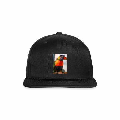 rainbow lorriket - Snapback Baseball Cap