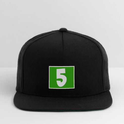 Hat 5 - Snapback Baseball Cap