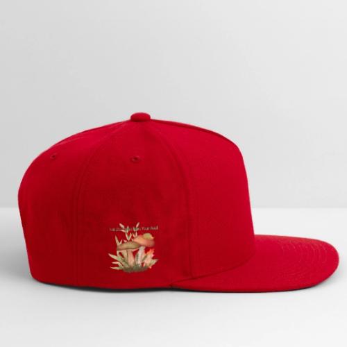 Unplug Series with Logo - Snapback Baseball Cap