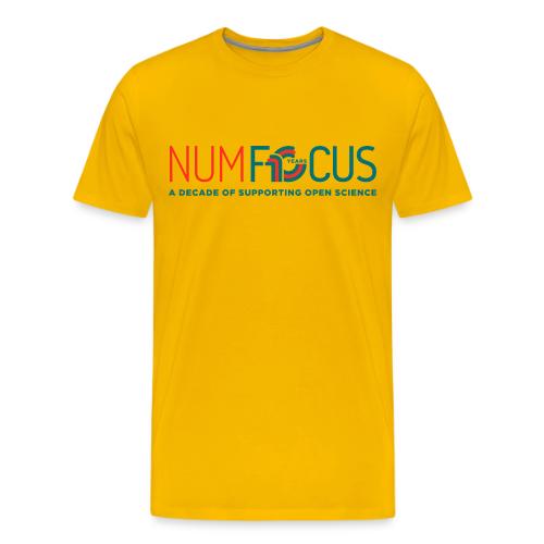 NF10 decade - Men's Premium T-Shirt