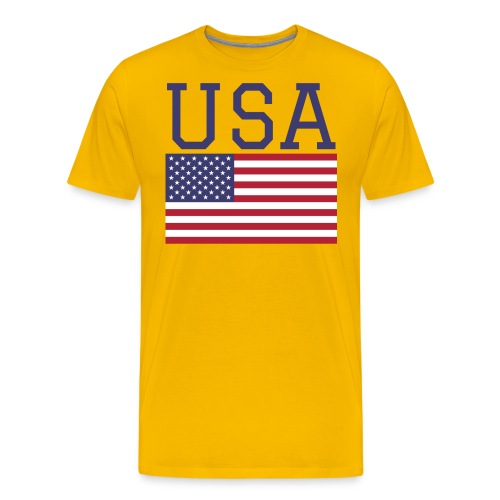 USA American Flag - Fourth of July Everyday - Men's Premium T-Shirt