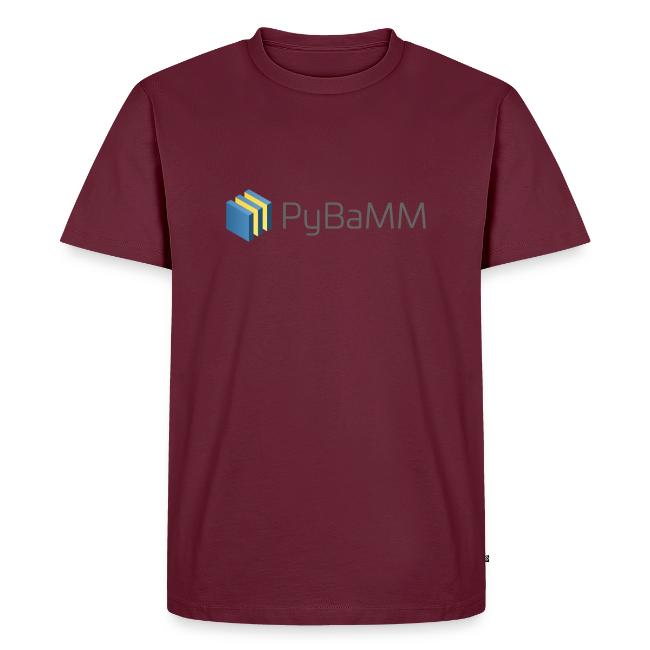 PyBaMM Logo
