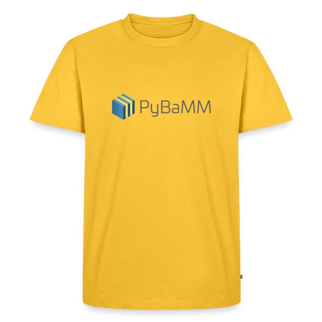 PyBaMM Logo
