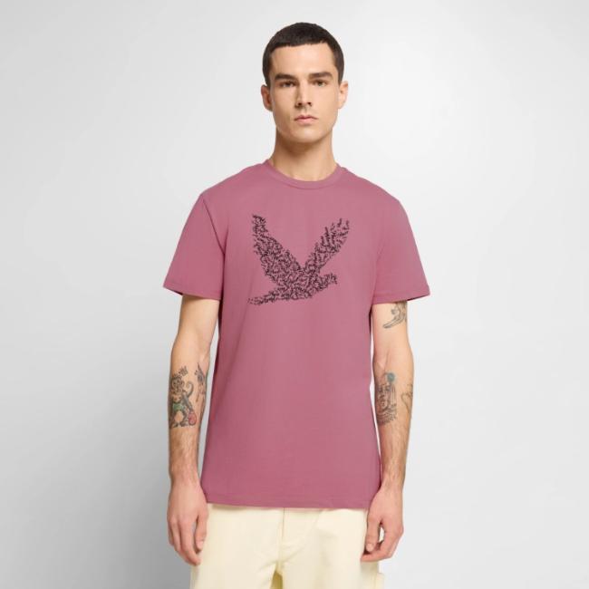 DOVE Peace in FLIGHT