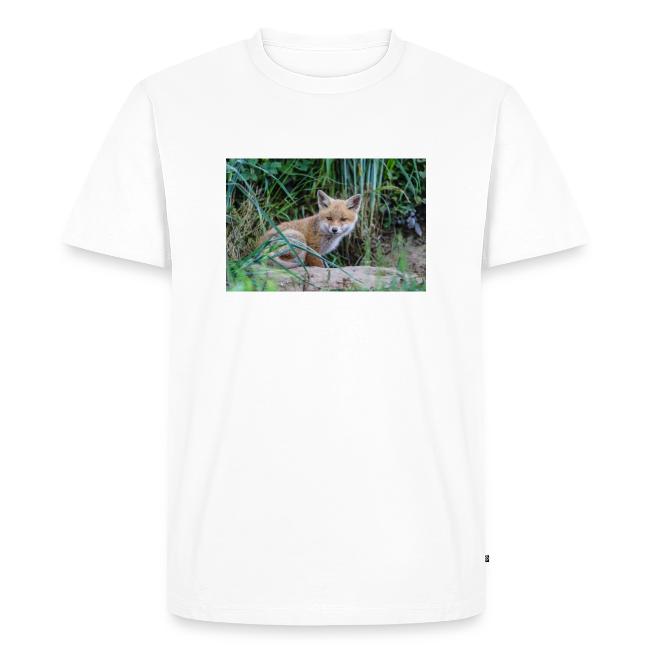 fox