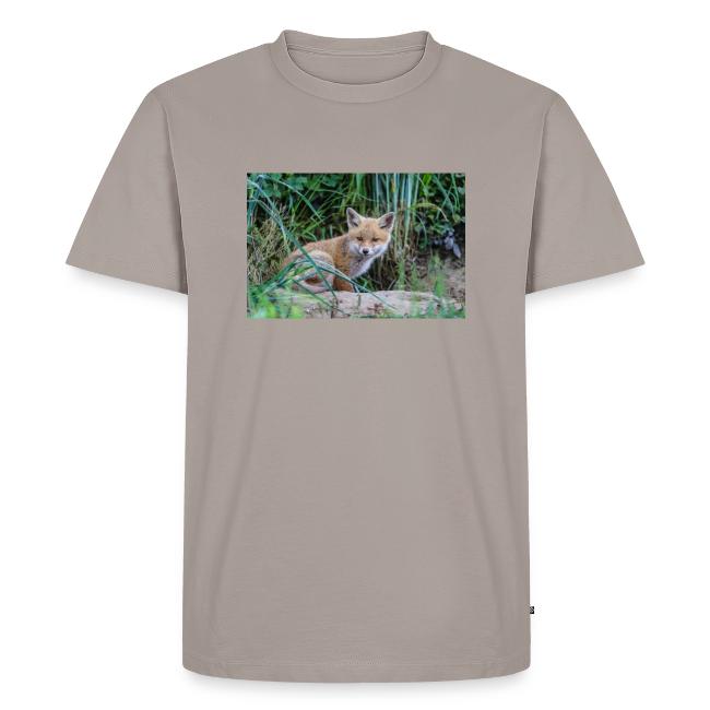fox