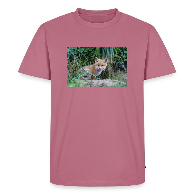 fox