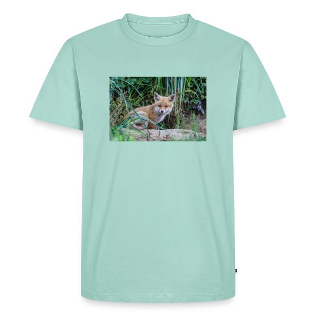 fox