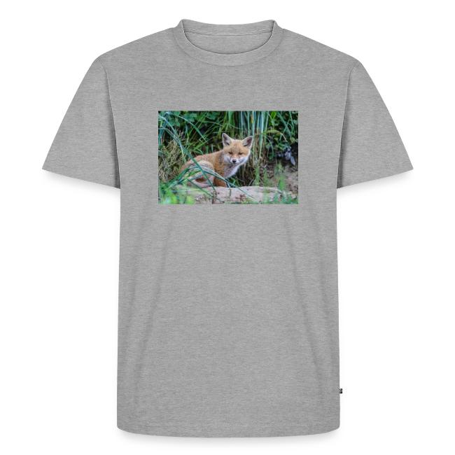 fox