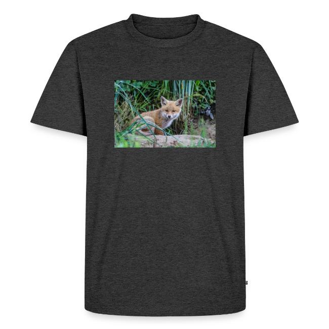fox