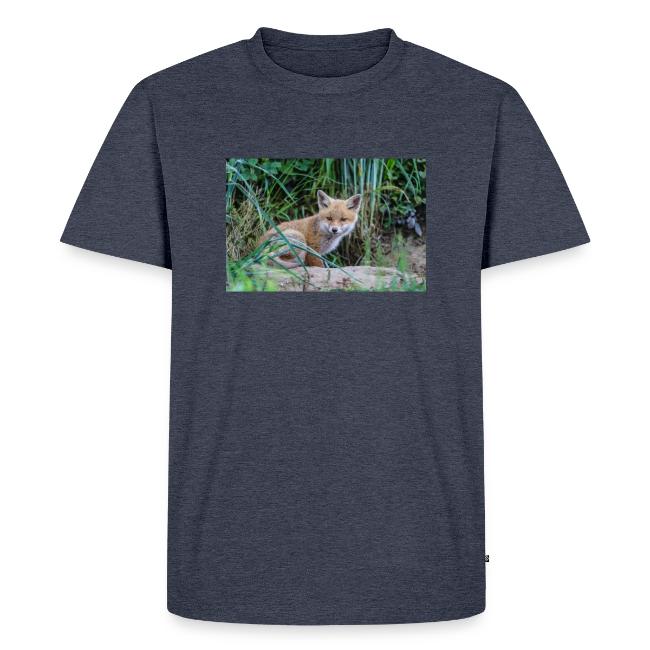 fox