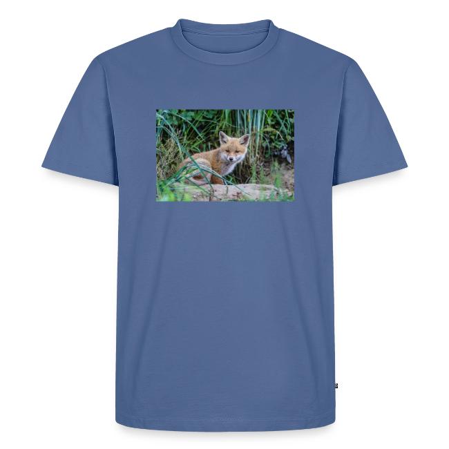 fox