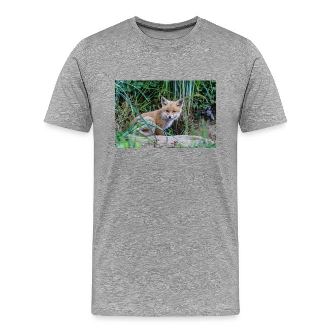 fox