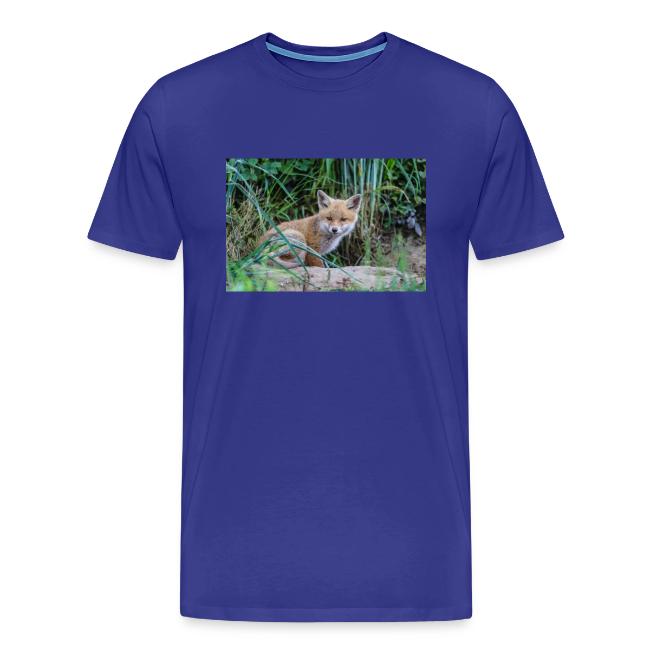 fox